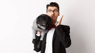 Hunde heulen nicht mehr