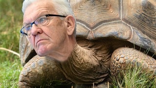 Invasive Schildkröten
