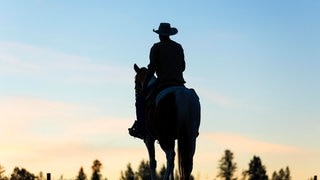 Cowboy-Wissen