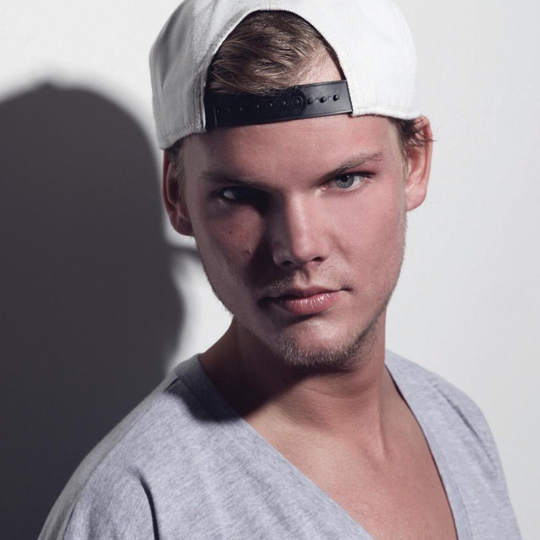 DJ und Produzent Avicii 2013 (Foto: Universal Music)