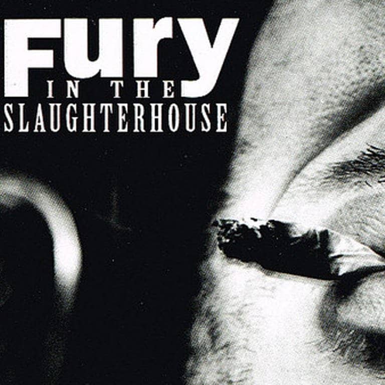 Radio Orchid – Fury In The Slaughterhouse (Foto: Radio Orchid – Fury In The Slaughterhouse)
