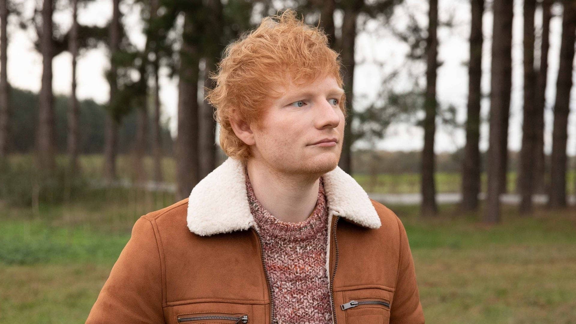 Der Sänger Ed Sheeran trägt eine braune Jacke und steht vor mehreren Bämen, er hat gerade die Doku „The Sum Of It All“ veröffentlicht (Foto: Mark Surridge)