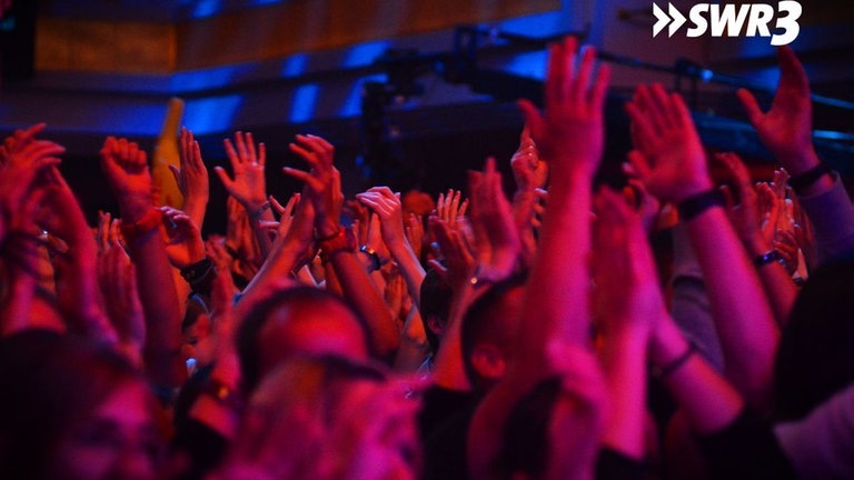 Foto: SWR3 Kraftklub: Konzert (Foto: SWR3)