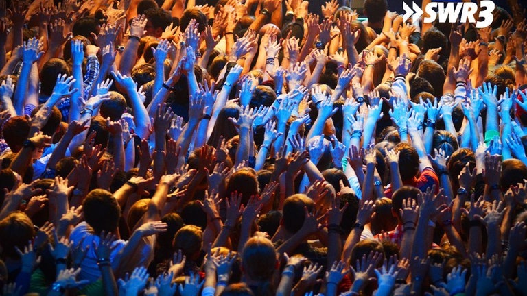 Foto: SWR3 Kraftklub: Konzert (Foto: SWR3)