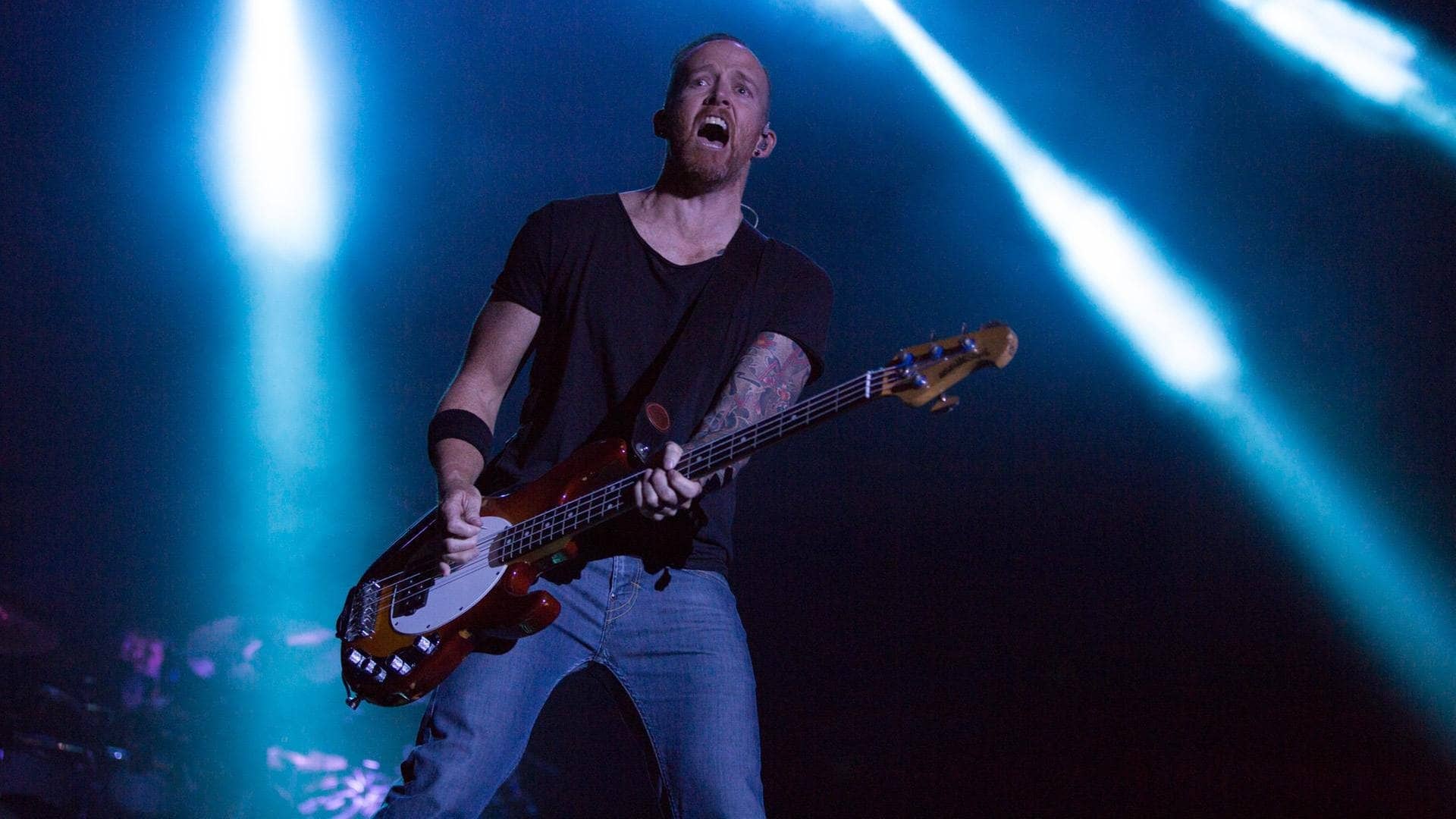 Linkin Park beim Rock 'n' Heim 2015 - RON_2849.jpg-51572 (Foto: DASDING / Ronny Zimmermann)
