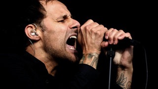 Donots