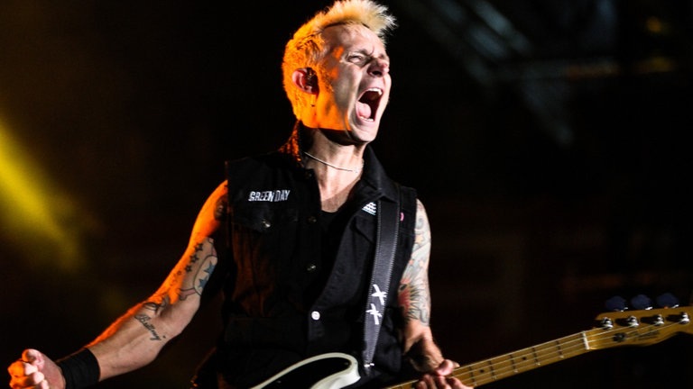 Green Day - rockamring2013-greenday-moritzhartnagel-17.jpg-63774 (Foto: SWR)