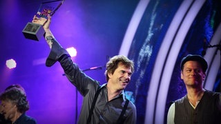 Die Toten Hosen: Pioneer of Rock - DU1_5482.jpg-90043