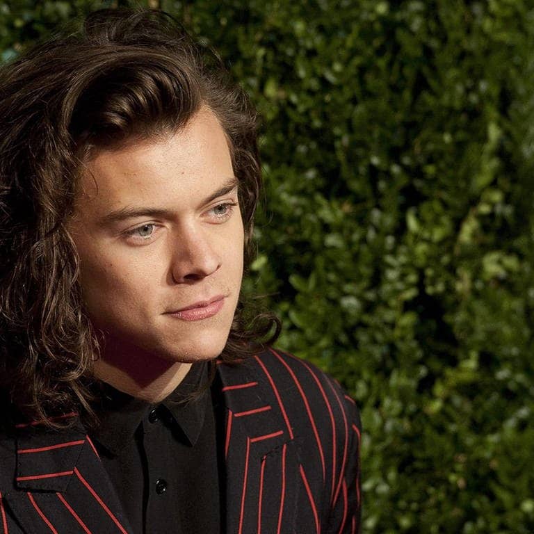 Harry Styles (Foto: dpa/picture-alliance)