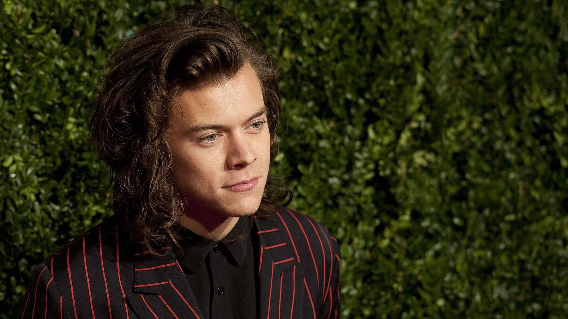 Harry Styles (Foto: dpa/picture-alliance)