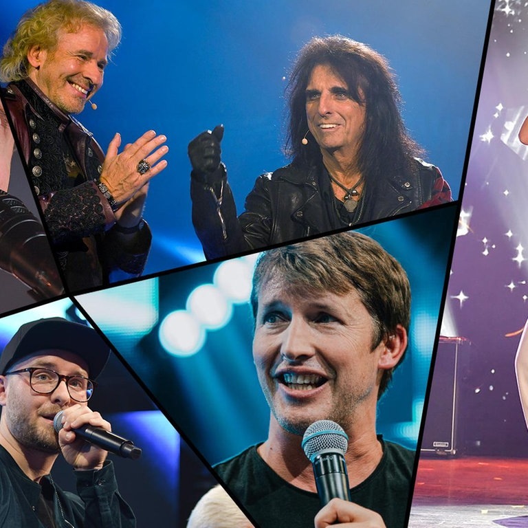 Die Künstler beim SWR3 New Pop Festival – Das Special (Foto: SWR3)
