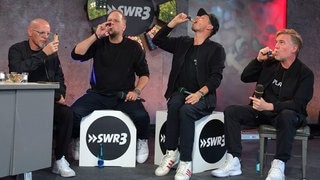 Die Fantastischen Vier beim Star-Talk beim New Pop Festival 2019
