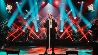 Picture This: So schön war das Eröffnungskonzert vom New Pop Festival 2019 (Foto: SWR3) Picture This: So schön war das Eröffnungskonzert vom New Pop Festival 2019