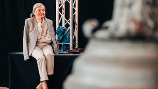 Ihr seid zauberhaft! – die schönsten Festival-Fotos (Foto: SWR3) Ihr seid zauberhaft! – die schönsten Festival-Fotos