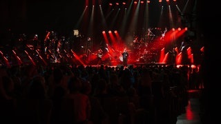 Lewis Capaldi beim New Pop Festival 2019 (Foto: SWR3) Lewis Capaldi beim New Pop Festival 2019