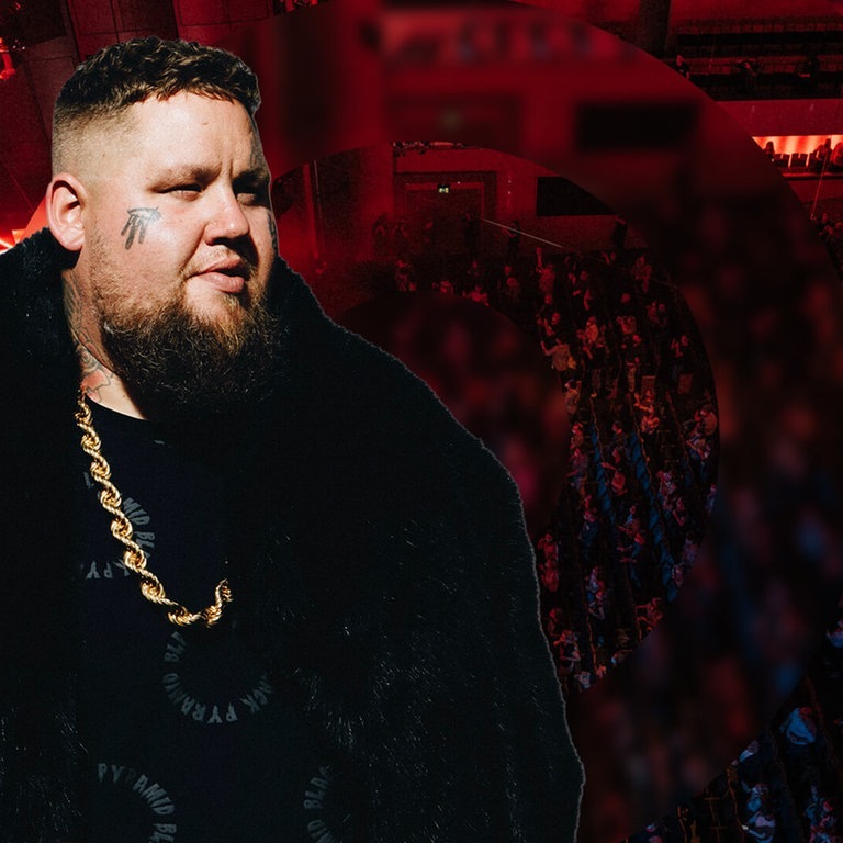 Rag 'n' Bone Man beim SWR3 New Pop (Foto: Niko Neithardt, Lead Shot Fiona Garden)