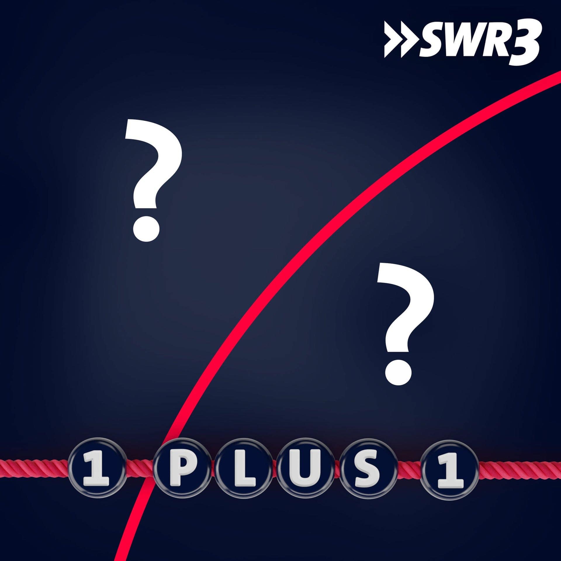 Podcast "1 plus 1 – Freundschaft auf Zeit". Zwei Fragezeichen (Foto: SWR3)