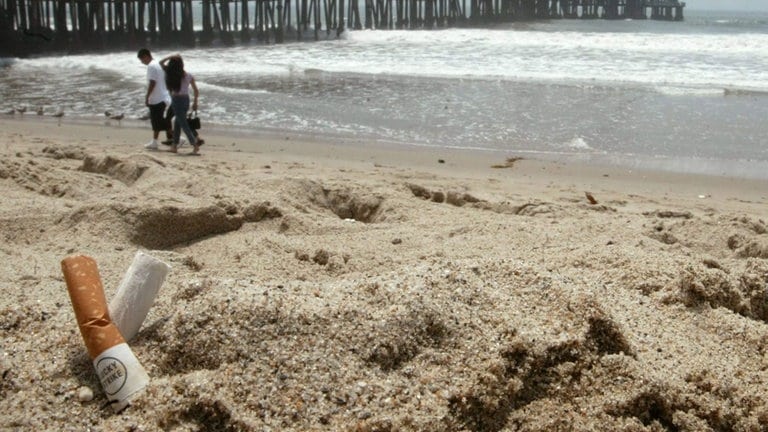 Kippen im Sand (Foto: dpa/picture alliance)