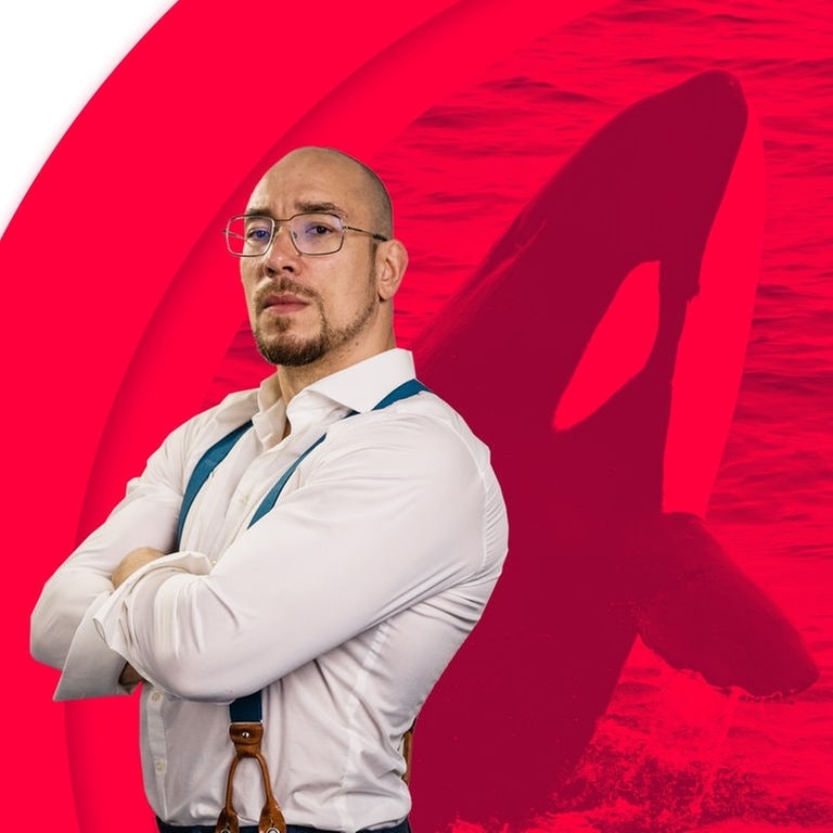 Maximilian Pollux vor einem Orca (Foto: SWR3, Adobe Stock kajPhoto4U)