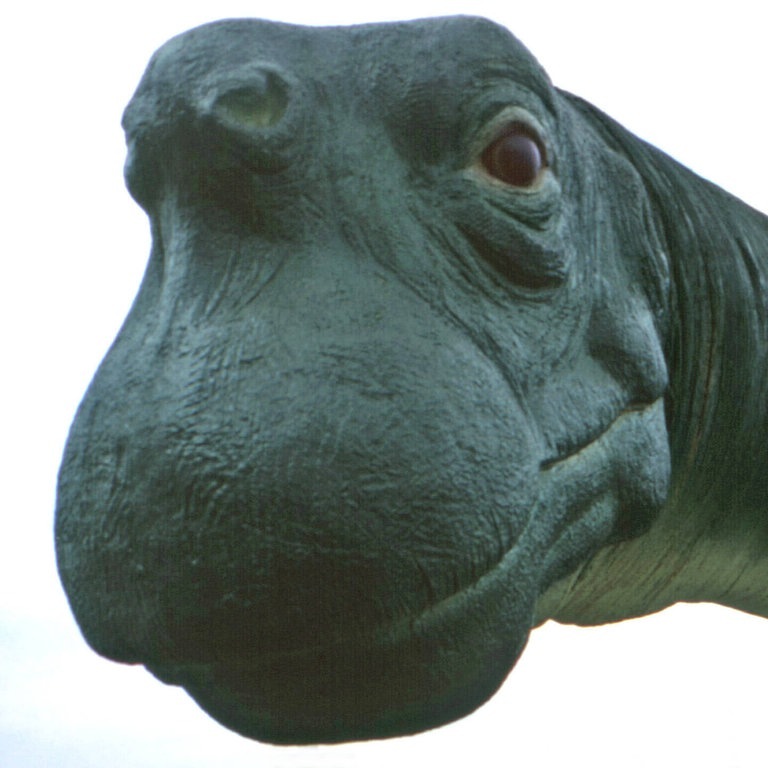Die Tierdocs: Brontosaurus (Foto: IMAGO, John G. Zimmerman Archive/Courtesy Everett Collection)