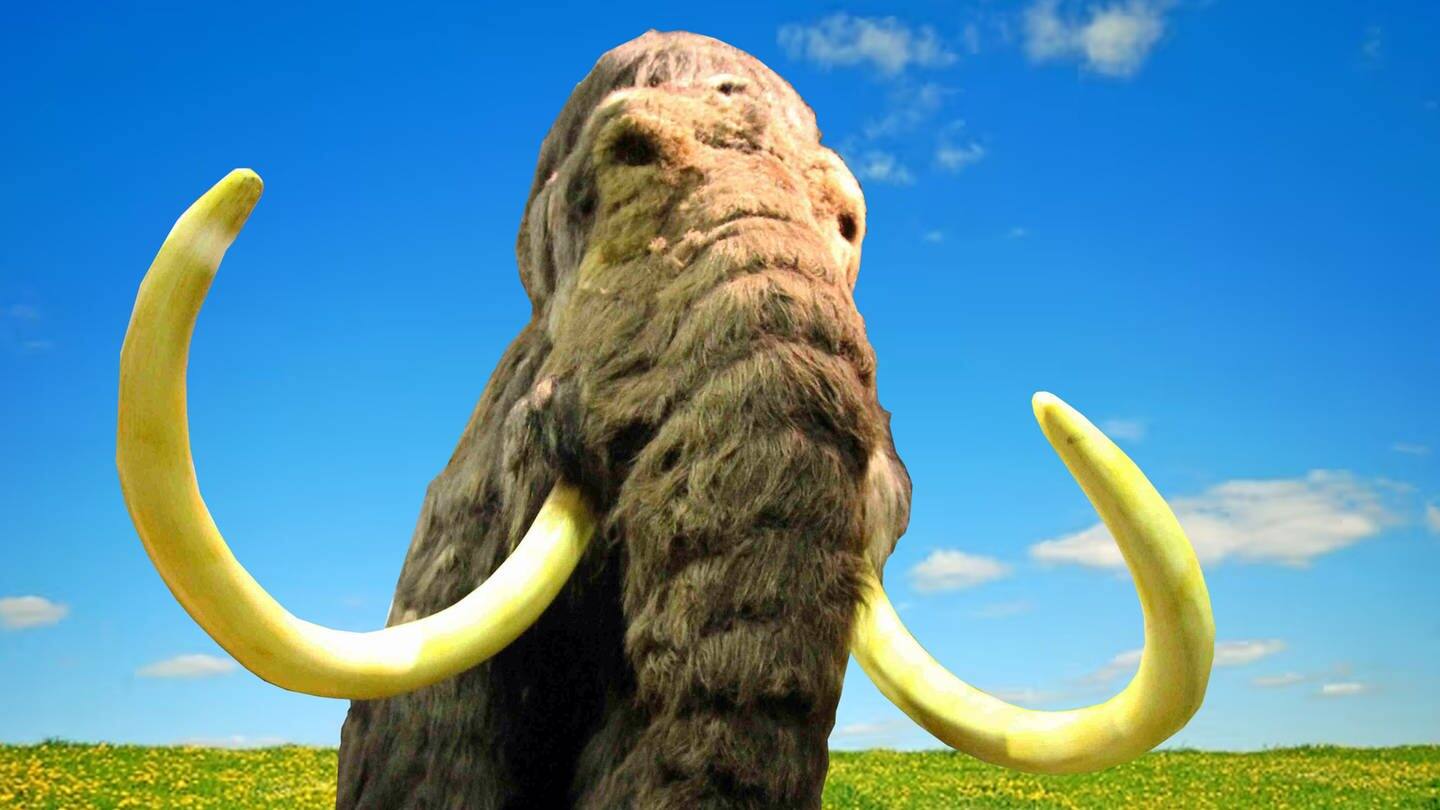 Ein Mammut steht auf einer Wiese (Foto: picture-alliance / Reportdienste, Wolfgang Runge)