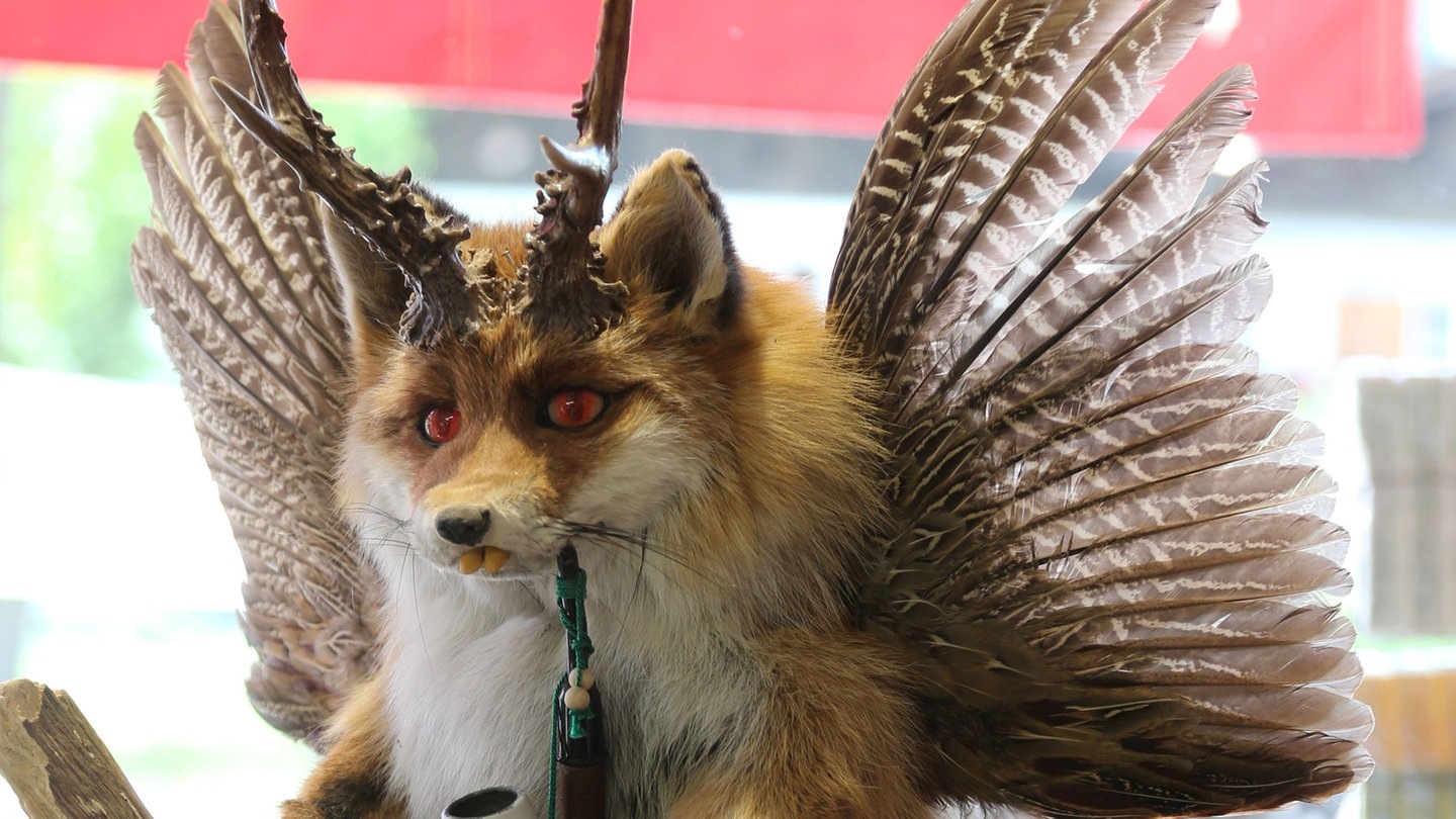 Foto: picture-alliance / Reportdienste, Stephan Jansen Die Tierdocs: Wolpertinger (Foto: picture-alliance / Reportdienste, Stephan Jansen)