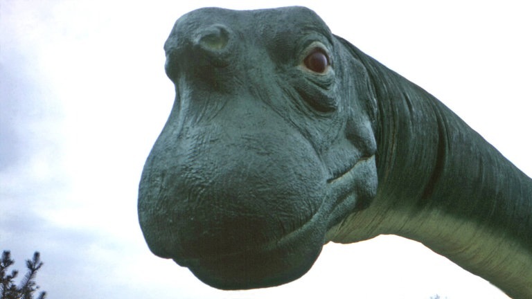 Die Tierdocs: Brontosaurus (Foto: IMAGO, John G. Zimmerman Archive/Courtesy Everett Collection)