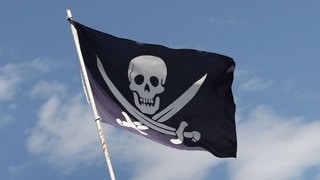 Kienzle und das Piratenwissen (Foto: picture-alliance / Reportdienste, Karl-Josef Hildenbrand) Kienzle und das Piratenwissen