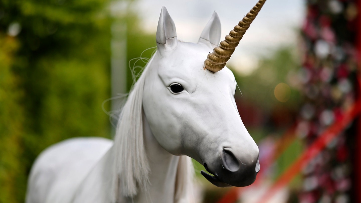 Die Tierdocs: Einhorn hört schlecht