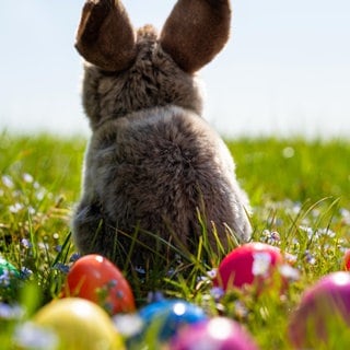 Kienzle und das Osterwissen