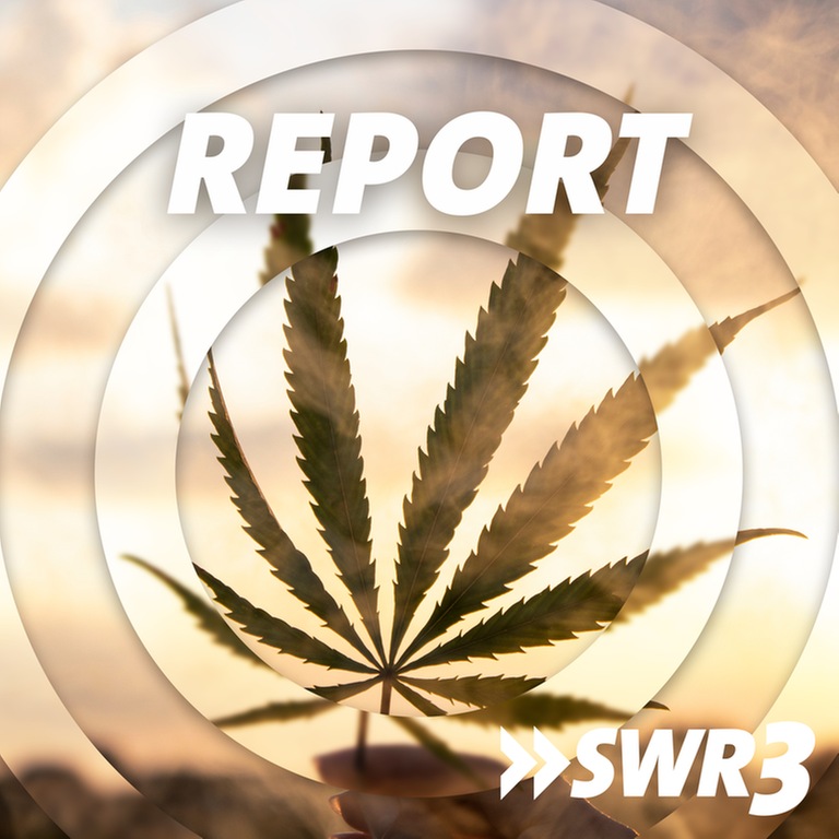 SWR3 Report Cannabis (Foto: SWR3)