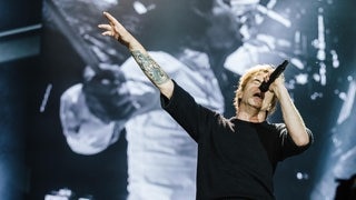 Die Toten Hosen (Foto: SWR / Ronny Zimmermann) Die Toten Hosen