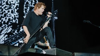 Die Toten Hosen (Foto: SWR / Ronny Zimmermann) Die Toten Hosen