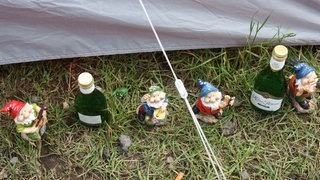Fuck the greens - IMG_1292.JPG