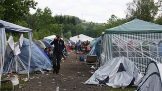 Fuck the greens - IMG_1294.JPG