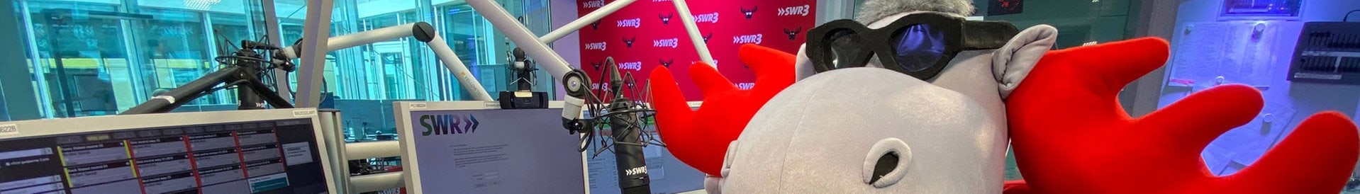 SWR3-Elch im Studio (Foto: SWR3)