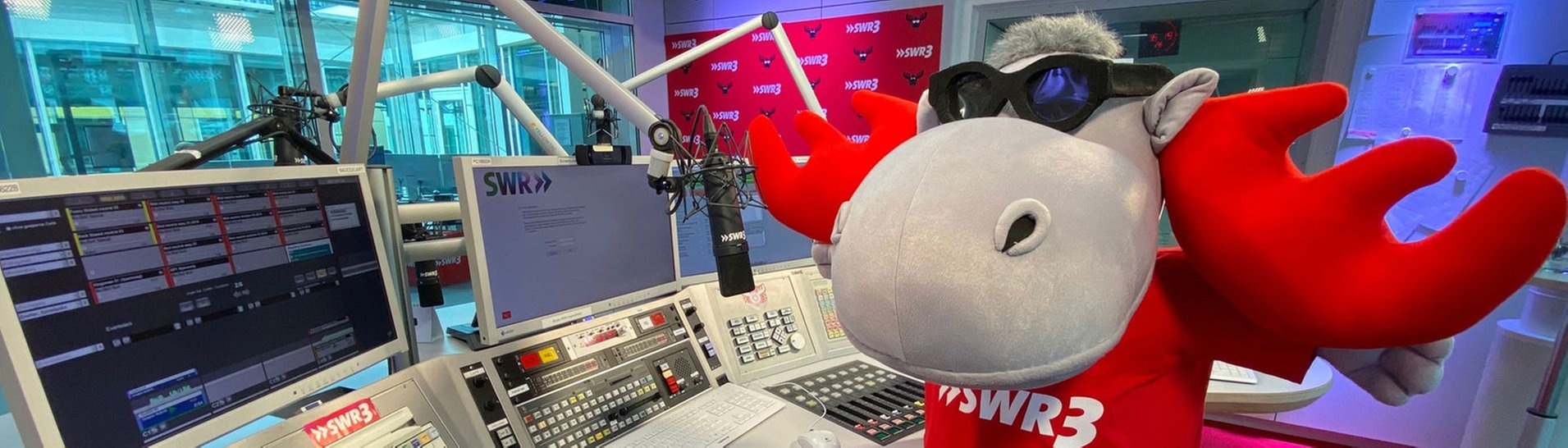 SWR3-Elch im Studio (Foto: SWR3)