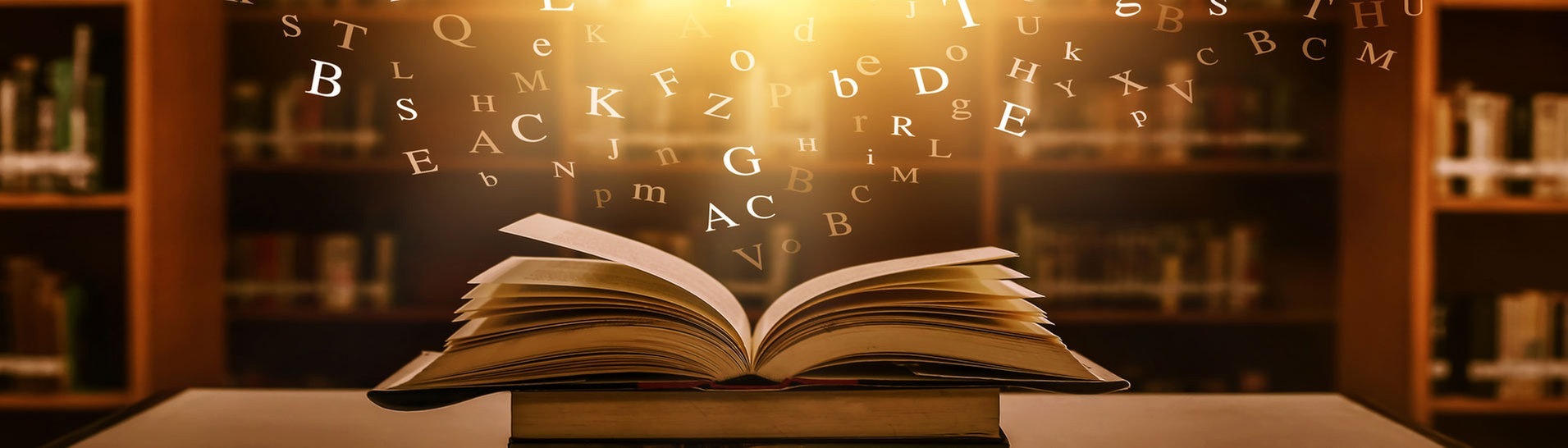 SWR3 Buchtipps (Foto: SWR3)