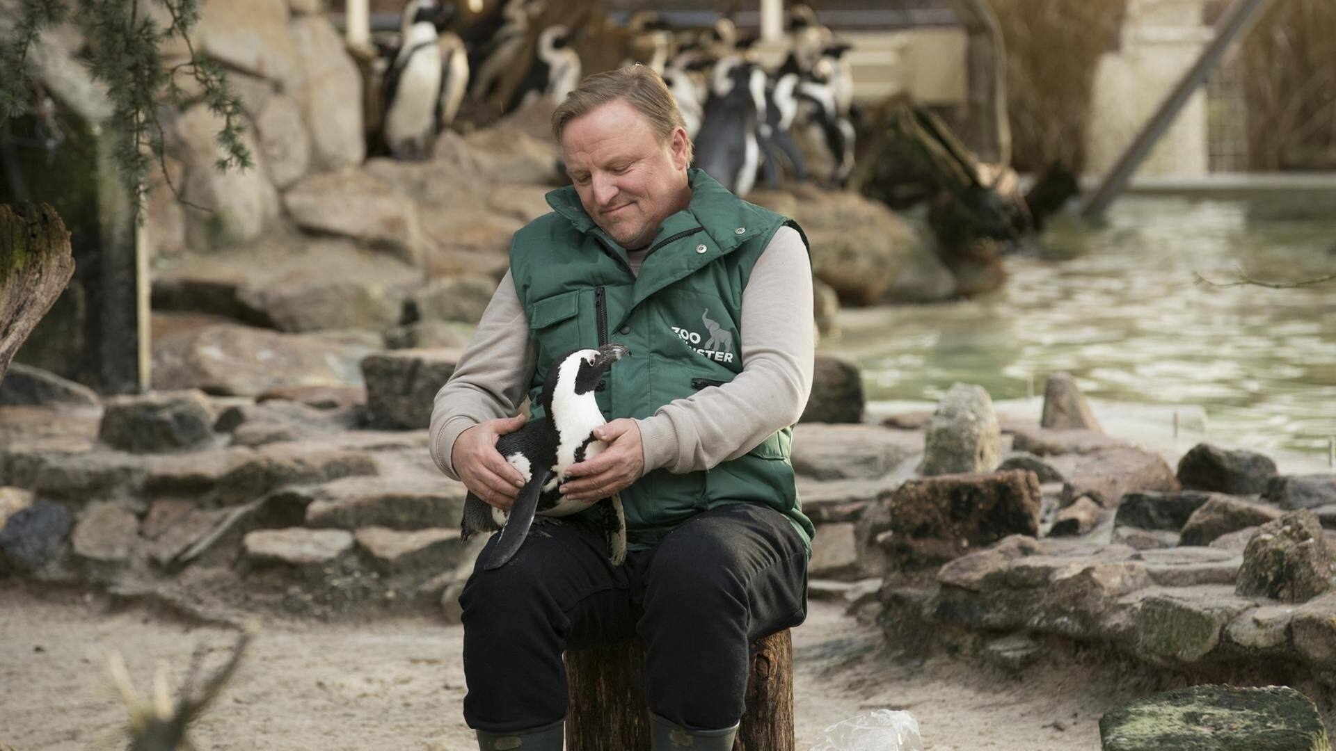 Frank Thiel (Axel Prahl) und Pinguin Sandy (Foto: WDR/Thomas Kost)