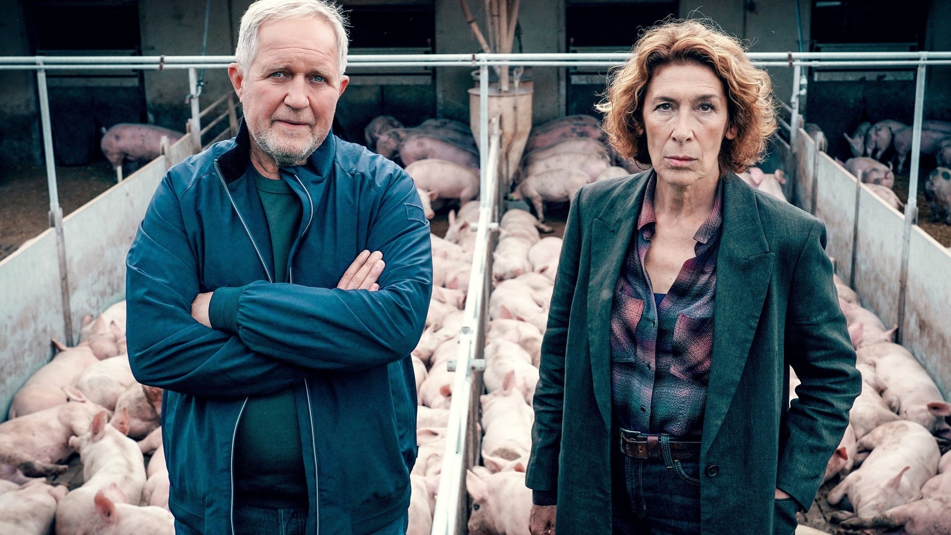 Foto: ard-foto s2-intern/extern, ARD Degeto / ORF / Petro Domenigg Tatort-Kritik Wien „Bauernsterben“: Die beiden Kommissare vor einem Schweinestall. (Foto: ard-foto s2-intern/extern, ARD Degeto / ORF / Petro Domenigg)