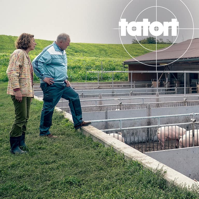 Tatort-Kritik Wien „Bauernsterben“: Eisner und Fellner schauen in einen Schweinestall. Dort wird gerade ein junger Mann von der Polizei befragt. (Foto: ard-foto s2-intern/extern, ARD Degeto / ORF / Petro  Domenigg)