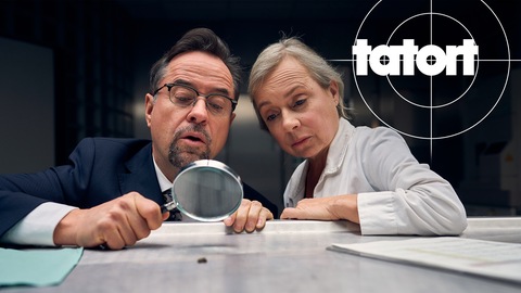 Tatort-Kritik Münster am 10.12. „Der Mann, der in den Dschungel fiel“: Boerne und Haller untersuchen eine Biene mit einer Lupe (Foto: ard-foto s2-intern/extern, WDR / Frank Dicks)