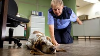 Auf dem Revier setzt sich Polizeihauptmeister Wolfgang Neumann (Fritz Roth) derweil mit Revierhund Speedy auseinander. Erfolglos, wie es scheint. (Foto: rbb / Conny Klein) Auf dem Revier setzt sich Polizeihauptmeister Wolfgang Neumann (Fritz Roth) derweil mit Revierhund Speedy auseinander. Erfolglos, wie es scheint.