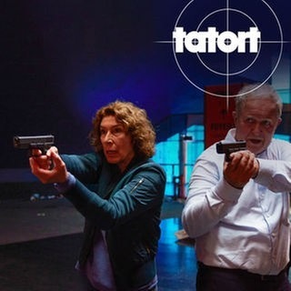 Tatort-Kritik Wien: Die Kommissare Fellner und Eisner richten beide ihre Waffen auf ein Ziel. Szene aus der neuen Tatort-Folge „Azra“.