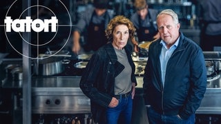 Tatort-Kritik Wien: Szenenbild Tatort „Messer“ mit Moritz Eisner und Bibi Fellner