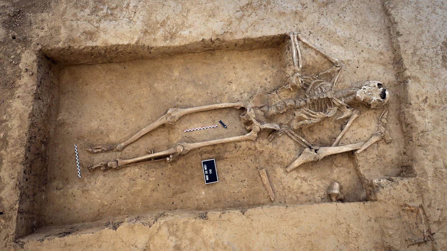 Eines der weningen Skelette, die auf dem Schlachtfeld von Waterloo heute noch zu finden sind. Der Rest ist wohl in Zuckerfabriken gelandet. (Foto: IMAGO, IMAGO / Cover-Images)