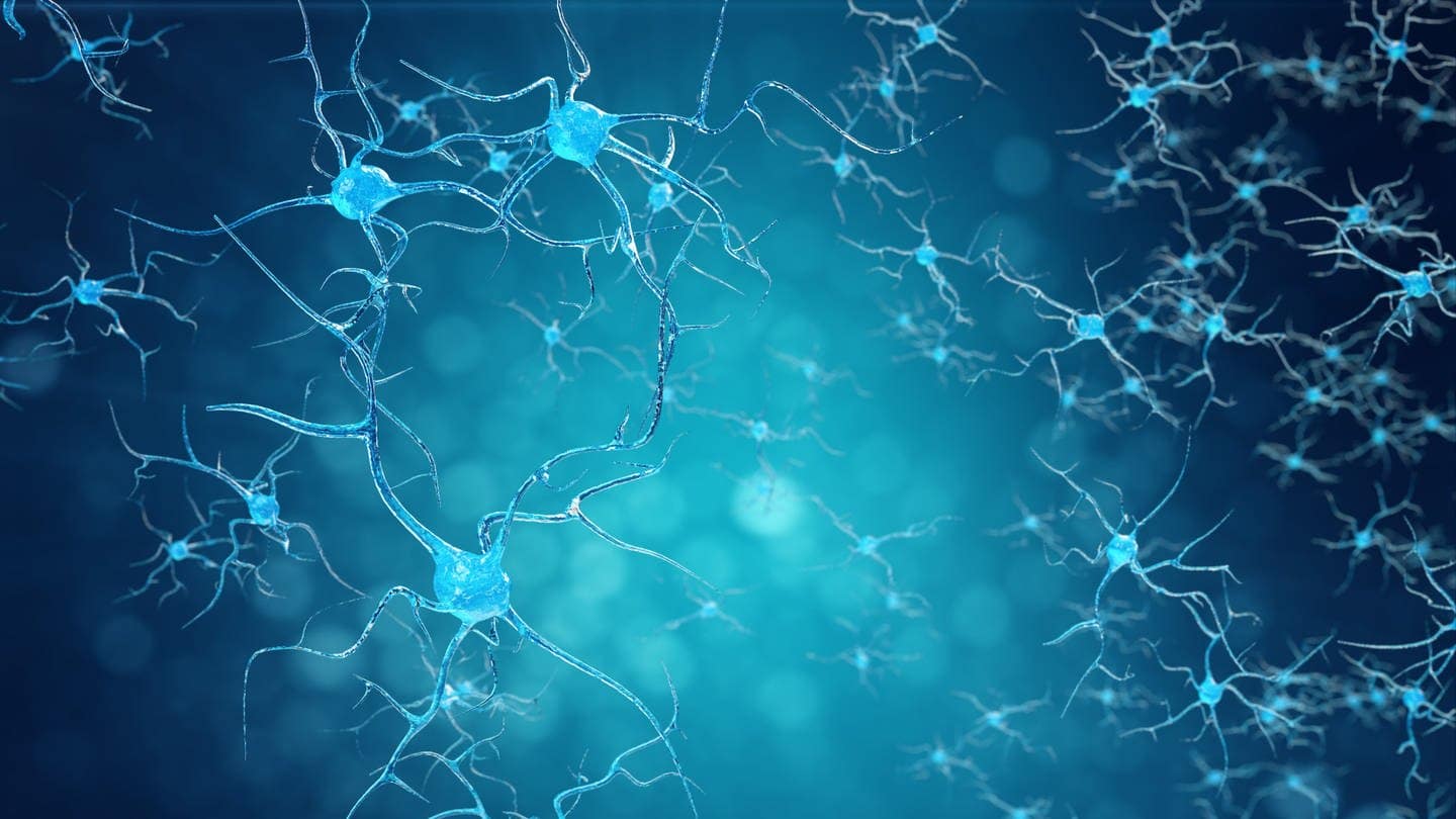 Symbolbild neuronale Verbindungen im Gehirn.