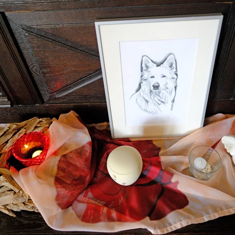 Trauer um verstorbenes Haustier: Vor einem gerahmten Bild mit einer Zeichnung eines Hundes stehen Kerzen und Engel