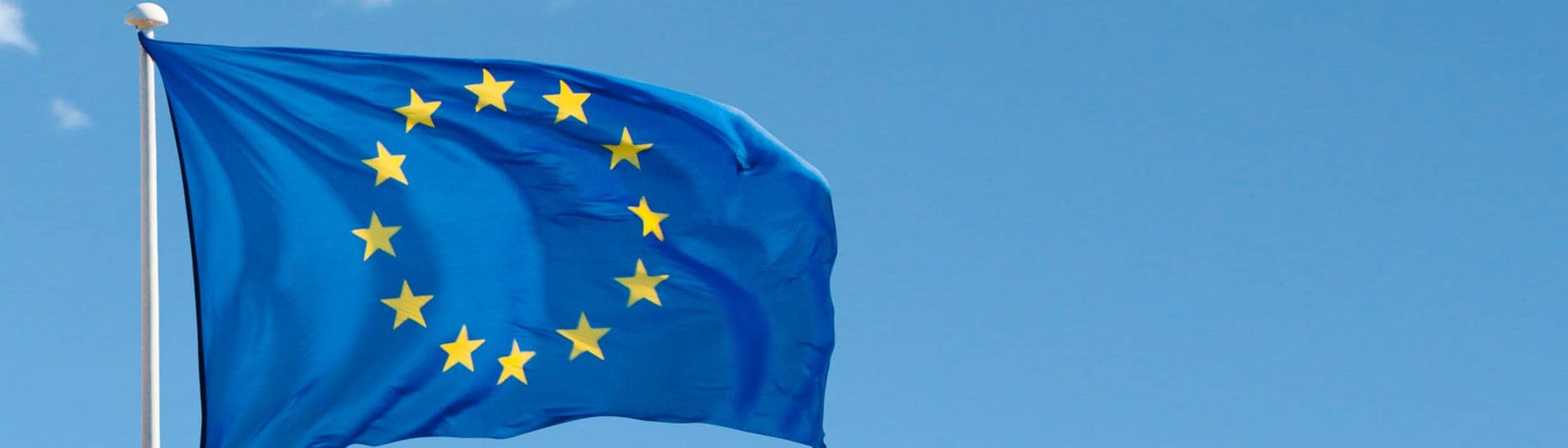 Eine euopäische Flagge weht vor hellblauem Himmel im Wind und symbolisiert die Europawahl 2024