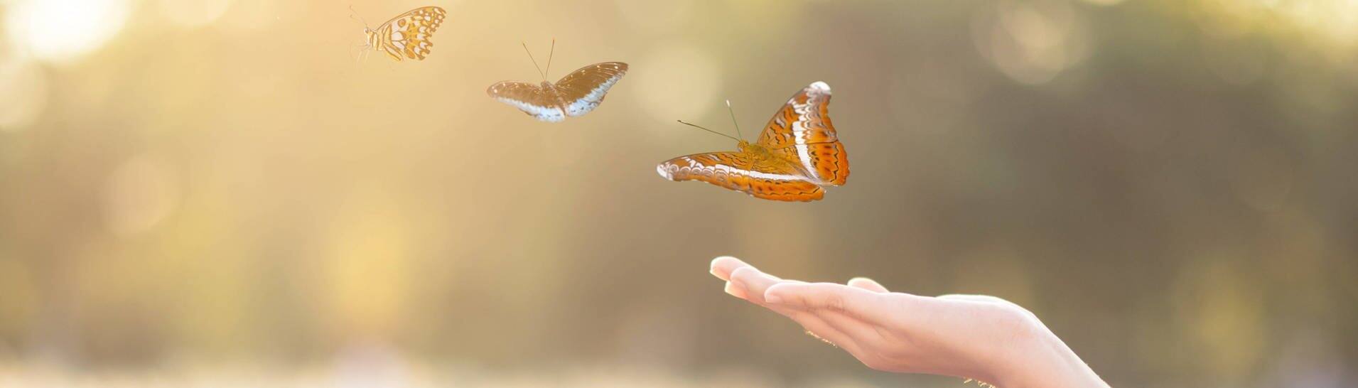 Schmetterlinge fliegen von einer ausgestreckten Hand